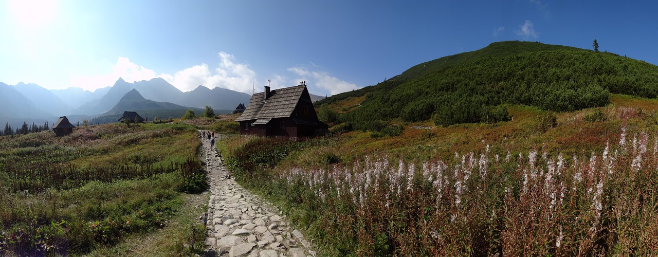 <p>Entdecke Polen: Eine Reise durch Geschichte, Kultur und Natur</p>